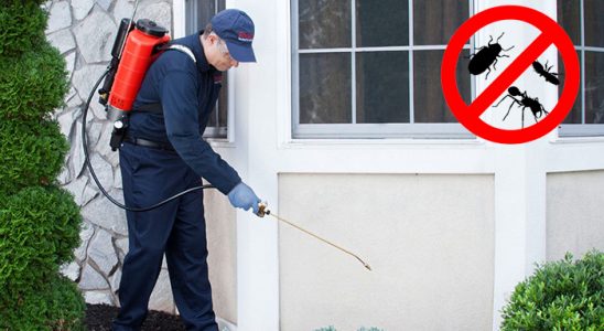 Korgan Karınca İlaçlama böcek ilaçlama ve haşere kontrolü — ilaclama-tr.com